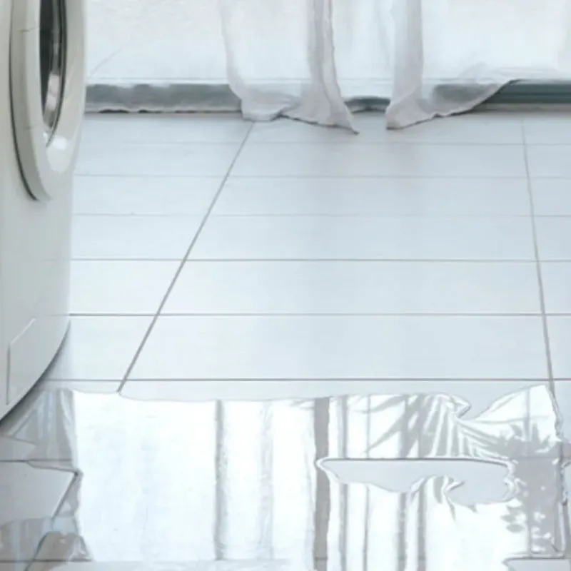 Appliance Leak Cleanup in Glandorf, OH