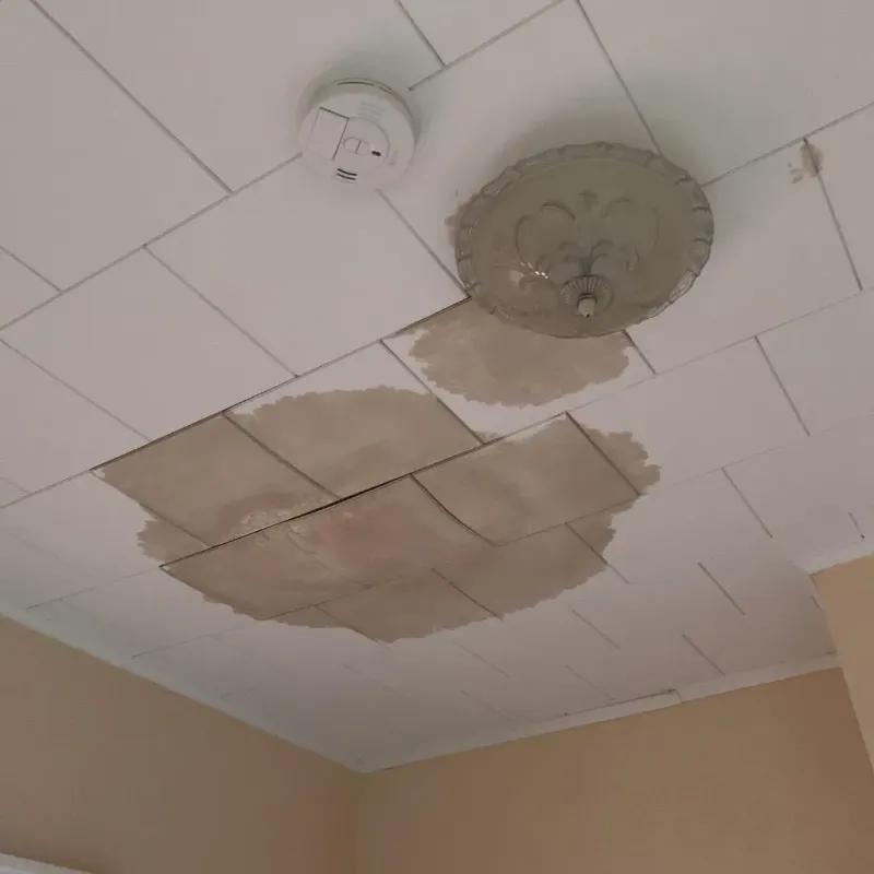 Ceiling Water Damage Repair in Glandorf, OH