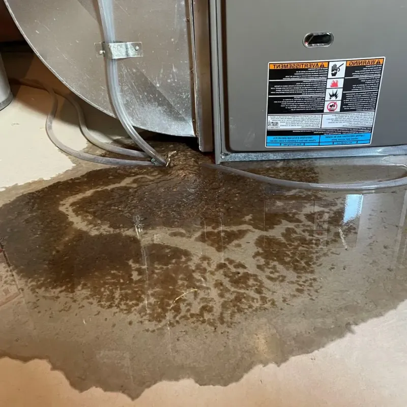 Pipe Burst and Leak Restoration in Glandorf, OH
