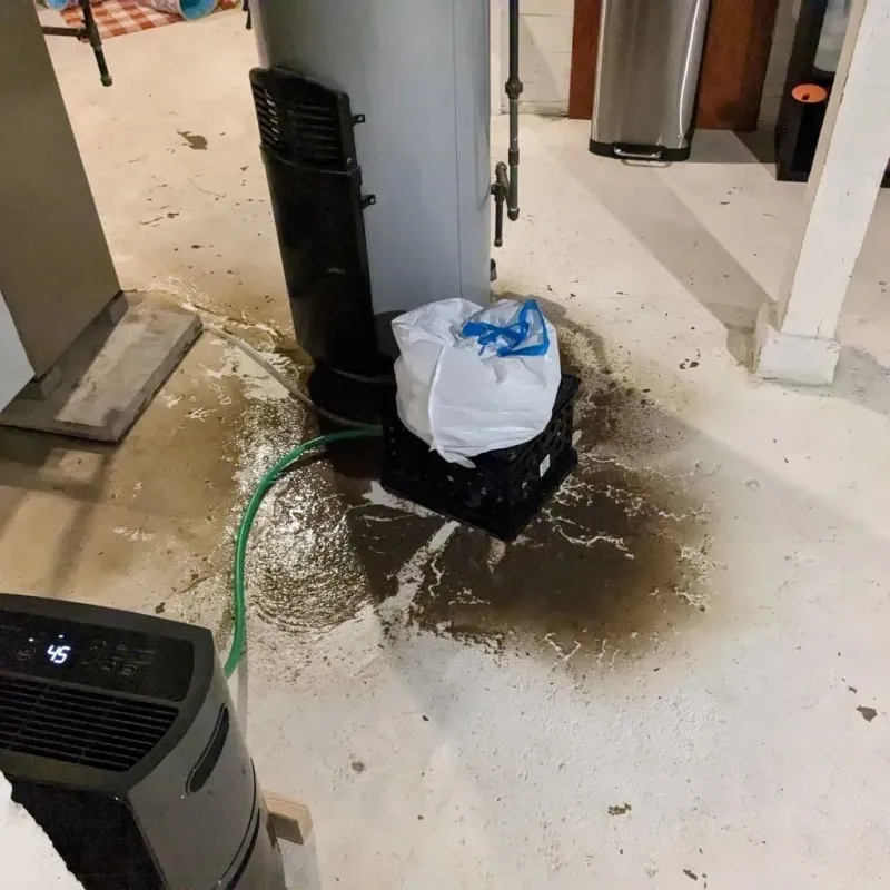 Sewage Backup Cleanup Service in Glandorf, OH